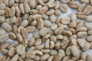 Granos de café natural sin tostar