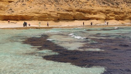 people walking on beach