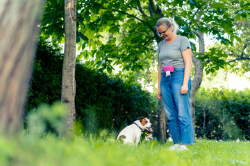 a zoopsychologist works with a small jack russell terrier in the park socializes the dog