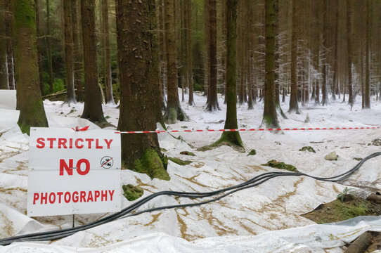 Public forest covered with fake snow for a movie shoot in Northern Ireland, with a sign saying "strictly no photography"