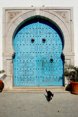 Typical traditional arabic door in Tunis - Tunisia - 677774765