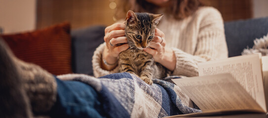 Cozy at home with tabby cat and book on sofa ay home in evening - 677776156