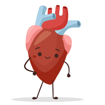 Flat vector illustration. Human organ heart standing and smiling. Heart with face, arms and legs . Vector illustration