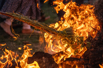 Roasing gram wheat corn beans on bon fire on the harvest festival of holi, lohri