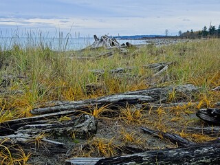 Island View Beach on Vancouver Island