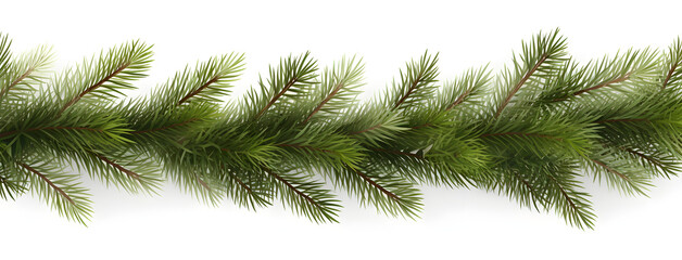 Fototapeta premium a pine branch on a white background