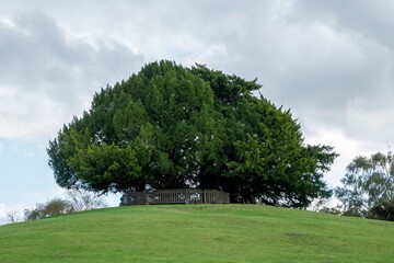 Bolton's Bench Lyndhurst Hampshire England to commemorate the Duke of Bolton  New Forest Master...