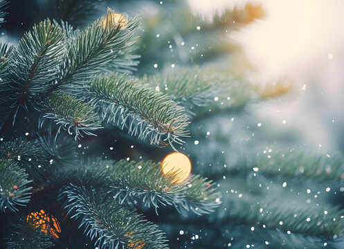 a christmas tree has some lights and snow in the background