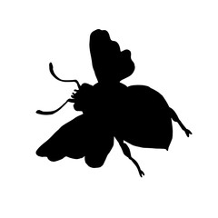 Silhouette of winged insect honey bee.Vector graphics.