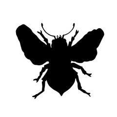 Silhouette of winged insect honey bee.Vector graphics.