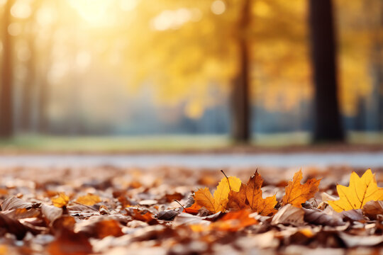 autumn leaves in the park,ai generated