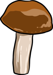 Mushroom hand drawn vector illustration.