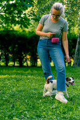 a small active dog of a breed like a russell terrier works with a dog handler in the park executes...