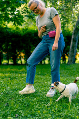 a small active dog of a breed like a russell terrier works with a dog handler in the park executes...