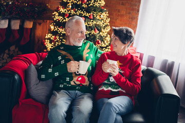 Photo two old age pensioners sitting comfortable sofa hold their favorite cup hot cacao drink talking have conversation choose present stay home