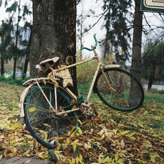 Fototapeta premium Old bicycle beside a big tree with fallen leaves