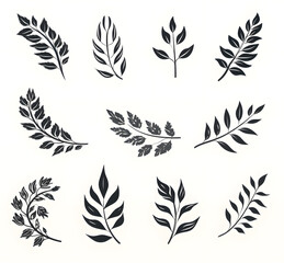 set of patterns with  leaves 