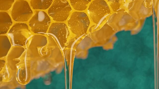 Macro honeycomb with pure golden honey elixir flow. Healthy natural sweet nectar
