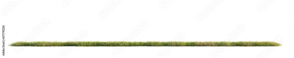 Poster Green grass isolated on transparent background. 3D render.