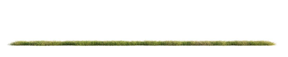 Green grass isolated on transparent background. 3D render.