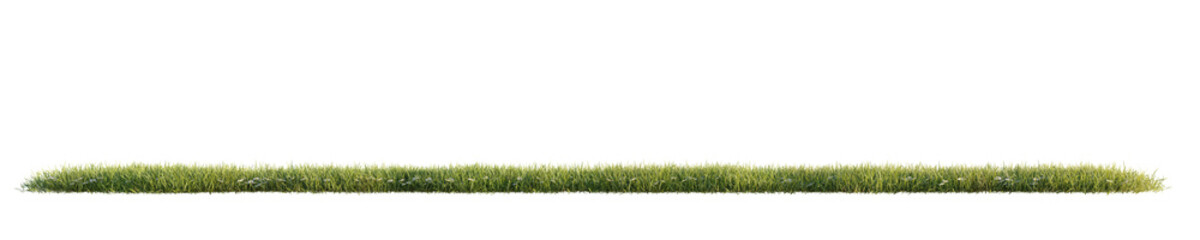 Green grass isolated on transparent background. 3D render.