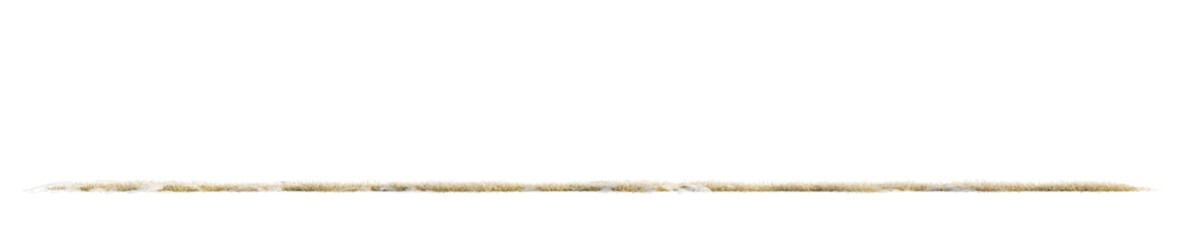 Frozen grass - panorama. Transparent background. 3D rendering.