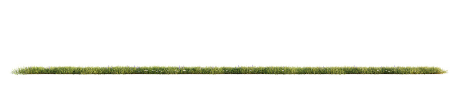Green grass isolated on transparent background. 3D render.