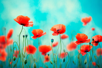 Vibrant red poppies in a spring field against a turquoise backdrop, with a soft focus and macro perspective. Bright, colorful, and artistically enhanced floral background. Bright image. 