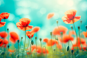 Vibrant red poppies in a spring field against a turquoise backdrop, with a soft focus and macro perspective. Bright, colorful, and artistically enhanced floral background. Bright image. 