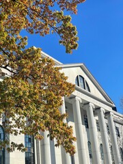 Low angle of green trees against Littauer Center of Public Administration in Cambridge,Massachusetts - obrazy, fototapety, plakaty