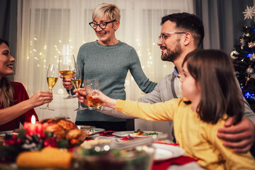 Happy multi-generation family enjoying in a lunch together at home. Family on Christmas dinner at home
