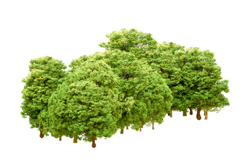 Obraz premium Green forest isolated on transparent background. 3d rendering - illustration