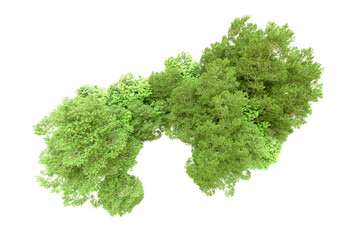 Obraz premium Green forest isolated on transparent background. 3d rendering - illustration