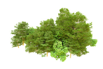 Obraz premium Green forest isolated on transparent background. 3d rendering - illustration