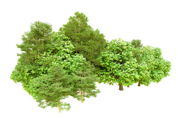 Obraz premium Green forest isolated on transparent background. 3d rendering - illustration