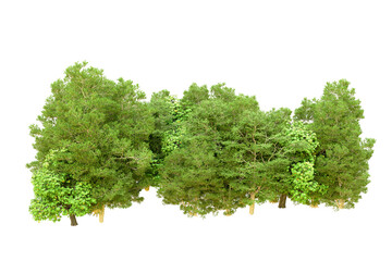 Green forest isolated on transparent background. 3d rendering - illustration