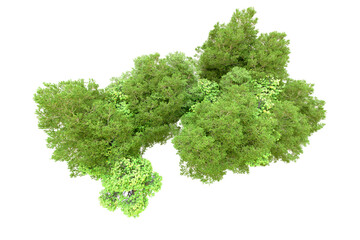 Obraz premium Green forest isolated on transparent background. 3d rendering - illustration