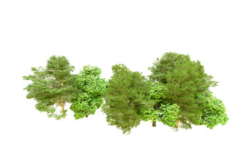 Fototapeta premium Green forest isolated on transparent background. 3d rendering - illustration
