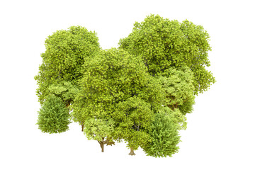 Green forest isolated on transparent background. 3d rendering - illustration