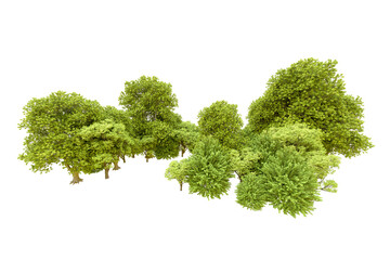 Fototapeta premium Green forest isolated on transparent background. 3d rendering - illustration