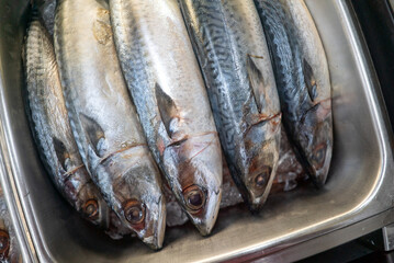 The saba fish, also known as mackerel, is showcased with tantalizing details, its moist and flaky...