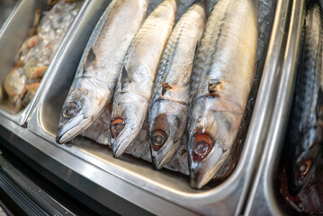 The saba fish, also known as mackerel, is showcased with tantalizing details, its moist and flaky flesh glistening under the perfect lighting.