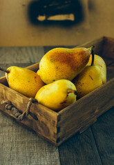 Juicy yellow Forelle Pears in a rustic wooden fruit box. Known as a greet snacking pear, make up in sweet flavor and beautiful appearance