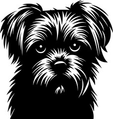 Cute Affenpinscher dog illustration, vector on white background