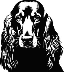 Cute afghan hound dog, illustration, vector on white background