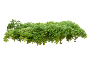 Obraz premium Green forest isolated on transparent background. 3d rendering - illustration