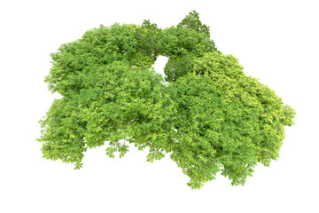Obraz premium Green forest isolated on transparent background. 3d rendering - illustration