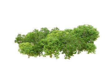 Obraz premium Green forest isolated on transparent background. 3d rendering - illustration