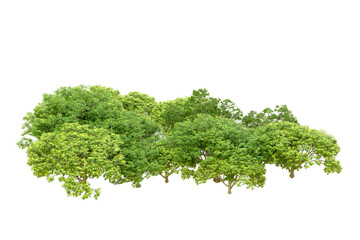 Obraz premium Green forest isolated on transparent background. 3d rendering - illustration