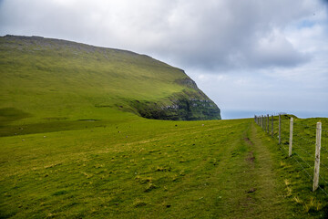 path in the field